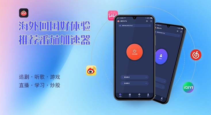 翻墙回国app