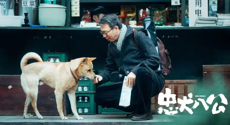 海外看奥运会直播平台有哪些使用方法